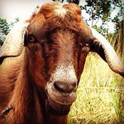 Kelly Shepherd-Lewis's photo