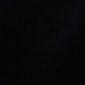 Taylor Davis's photo
