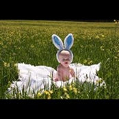 Susan Powell's photo
