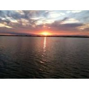 Joanie Marsh's photo