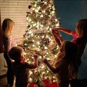 Katie Changstrom's photo