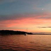 Tess Hakkila's photo