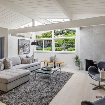 Mid Century Modern Residential