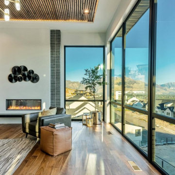 Living & Family Room Designs