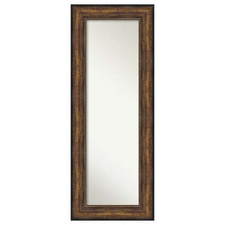 Ballroom Bronze Non-Beveled Full Length On the Door Mirror - 21.5 x 55.5 in.