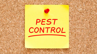Bed Bug Exterminator in Brookfield at Premier Pest Control Services