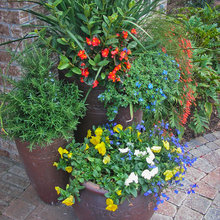 What I can do in our pots
