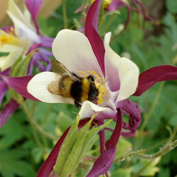 Planting - Garden Products
