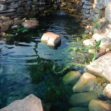 Natural Swimming Pool/Ponds