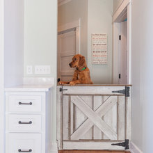 Dog Door