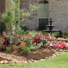 front yard
