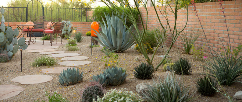 Landscape Design West Llc Project, Desert Landscape Design Tucson