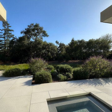 Modern built-in water feature with native grasses