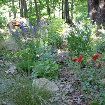 Perennial heaven