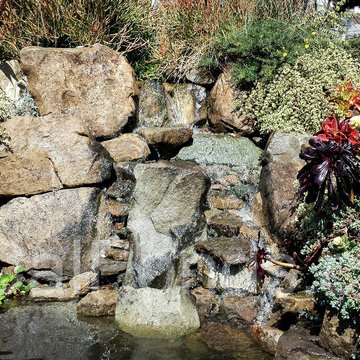 Random Ponds