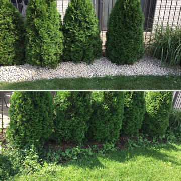 Weed Removal