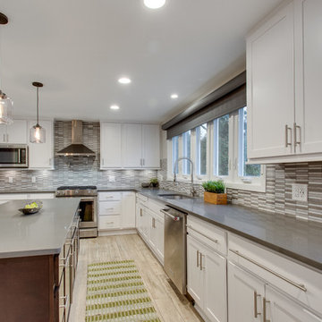 Contemporary Kitchen Remodel Alexandria, VA