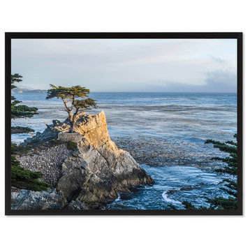 Monterey Cypress Tree Landscape Photo Canvas Print with Picture Frame, 28"x37"