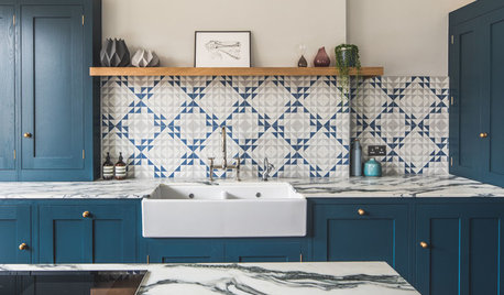 Cast Iron VS. Fireclay SINK?