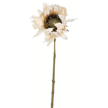 24" Ivory Sunflower Stem 4/Pk