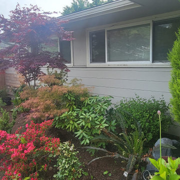 Landscape Projects