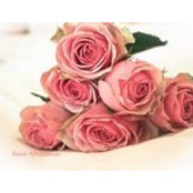 Foto de Faten Alkhateeb
