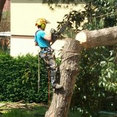 Foto di profilo di top-green