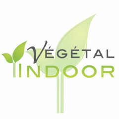 Végétal indoor