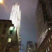 Matthew Clyde's photo