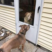 Ann Helder's photo