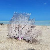 Judy Martinez's photo