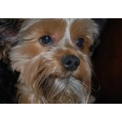 Sandy Blackburn's photo