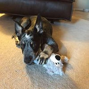 Jeri Westad's photo