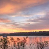 Suzanne Sims's photo
