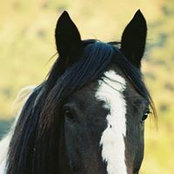Kimberly Ghan's photo