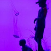 Alison Nielsen-Jones's photo