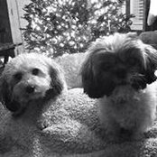 Michelle Gardas's photo