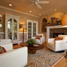 Living Room Ideas