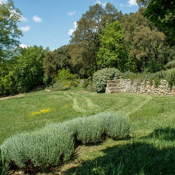 Lavande e rosmarini sui muri a secco