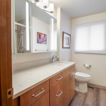Bathroom Update and Shower Conversion