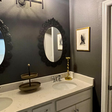 Maleficent Themed Bathroom