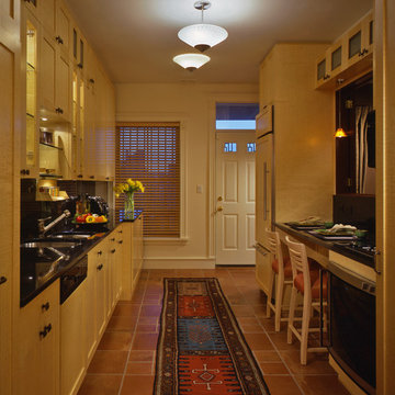 Chicago Transitional Kitchen