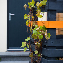 garden ideas