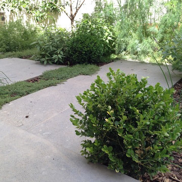 Rose Park Garden