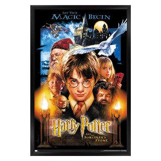 Harry Potter and the Order of the Phoenix - One Sheet Wall Poster, 22.375  x 34