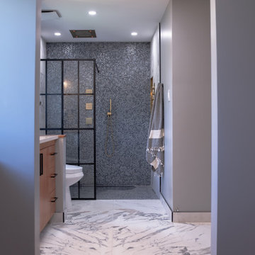 Primary Suite Renovation