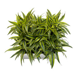Living Wall Planter Tray - Products