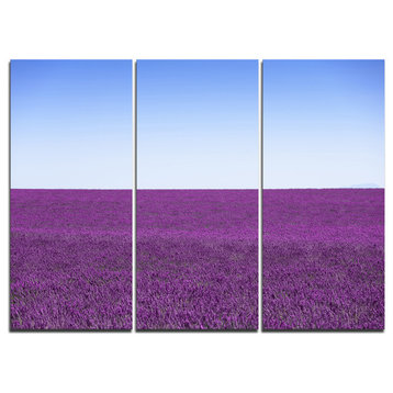 "Lavender Flowers With Blue Horizon" Wall Art, 3 Panels, 36"x28"