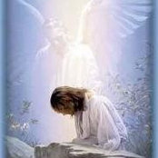 Maria Soledad Santacruz Puig's photo