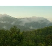 Beth Walker's photo